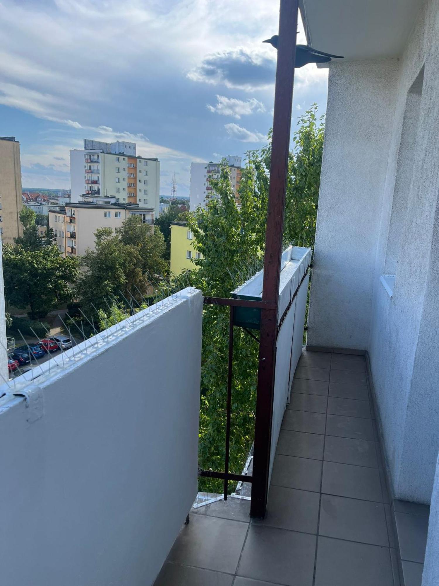 Appartamento Widokowka Stary Toruń Esterno foto